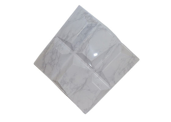 실내 장식을 위한 불연성 현대 예술 부유한 모델들 PVC 3D 벽판지