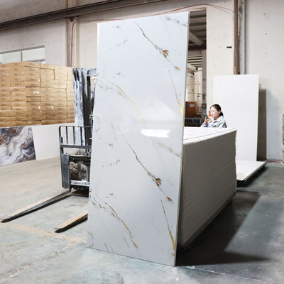 현대적인 디자인 PVC 샤워 벽 패널 (가정 및 호텔 욕실용)