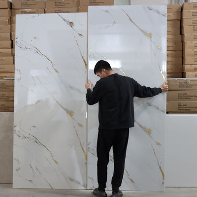 현대적인 디자인 PVC 샤워 벽 패널 (가정 및 호텔 욕실용)