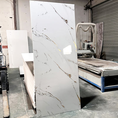 욕실 리모델링을 위한 내구성이 뛰어난 플라스틱 샤워 벽 패널