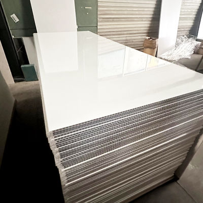 욕실 리모델링을 위한 내구성이 뛰어난 플라스틱 샤워 벽 패널