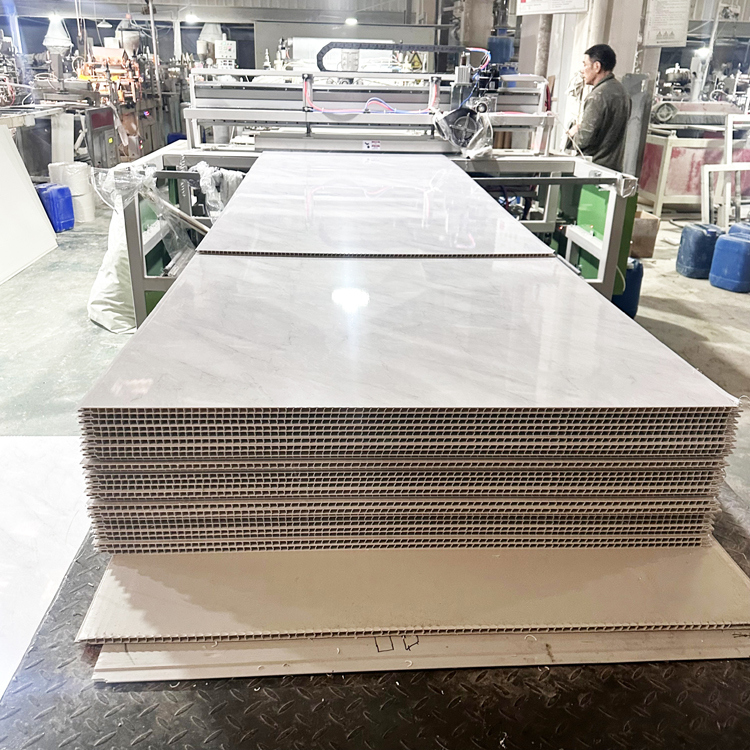 현대적인 디자인 PVC 샤워 벽 패널 (가정 및 호텔 욕실용)